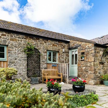 Cwm Connell Coastal Cottages Moylgrove Esterno foto
