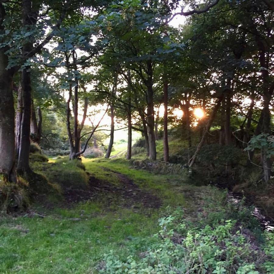 Cwm Connell Coastal Cottages Moylgrove Esterno foto