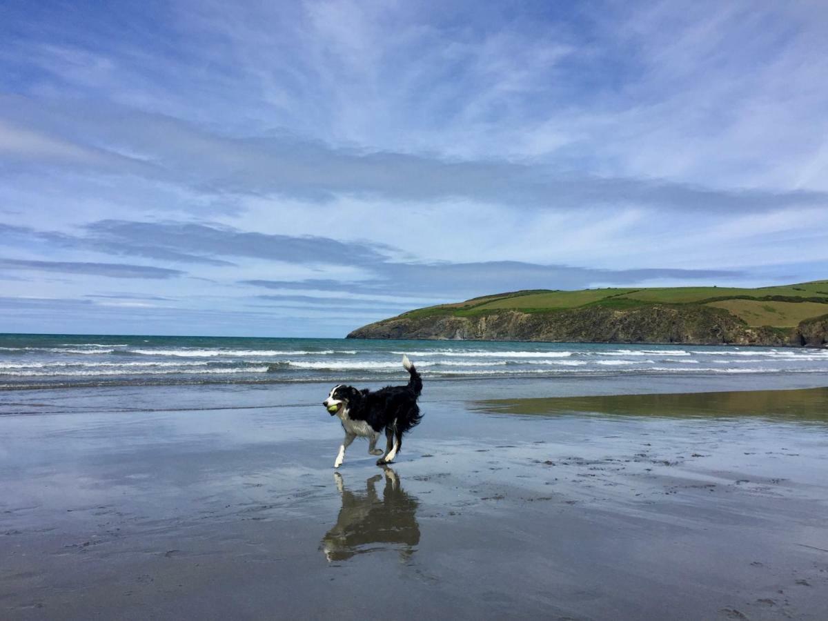 Cwm Connell Coastal Cottages Moylgrove Esterno foto